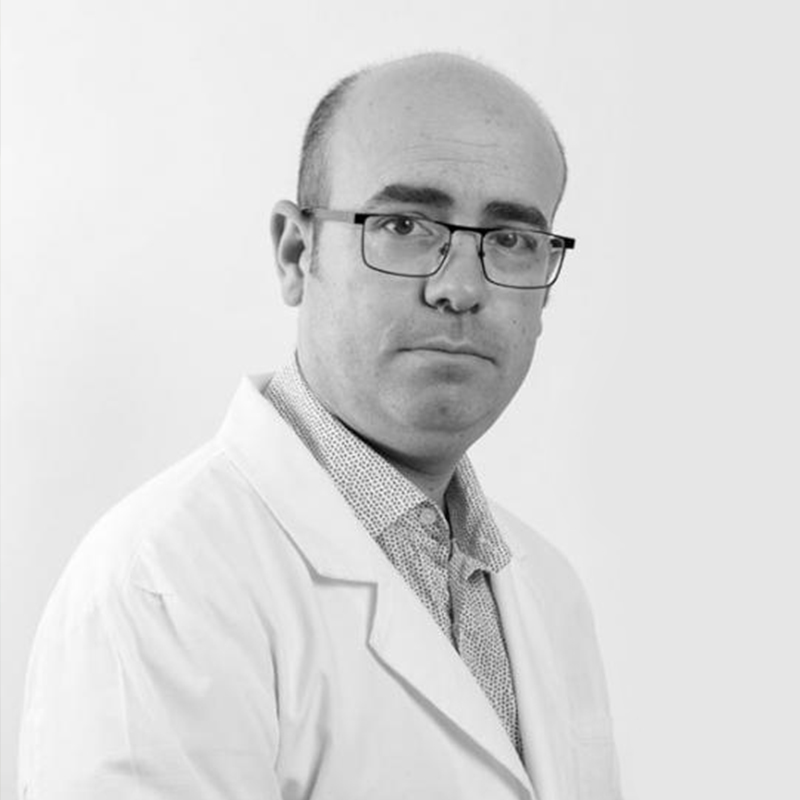 Dr Segura