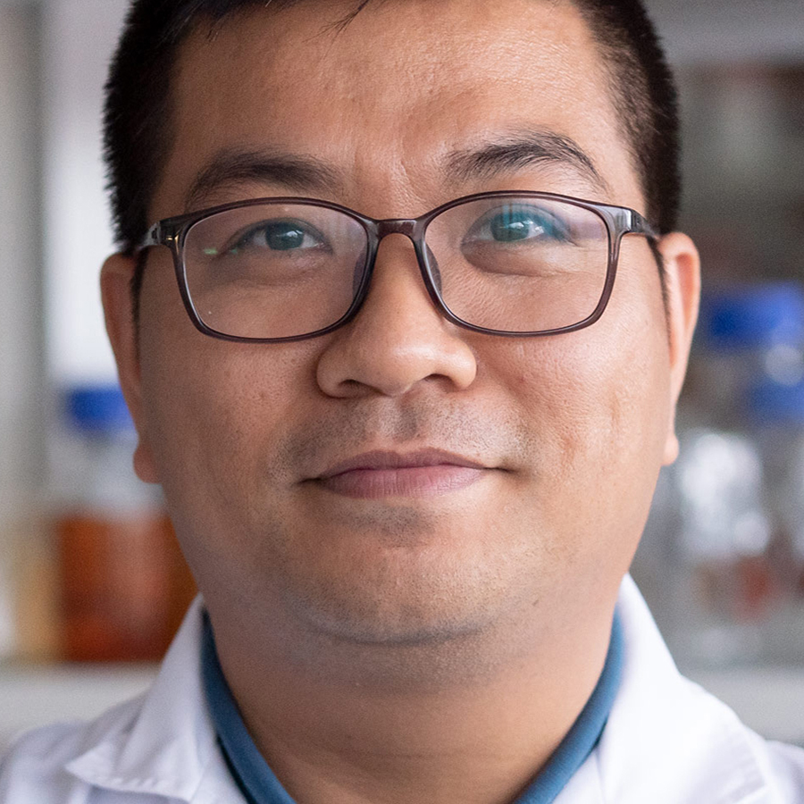 Trung Anh Trieu